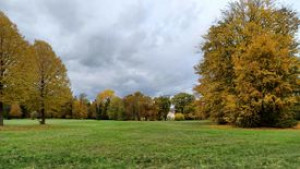 Bäume und Sträucher im Branitzer Park – Herausforderungen bei der Erhaltung der Pücklerschen Gestaltung